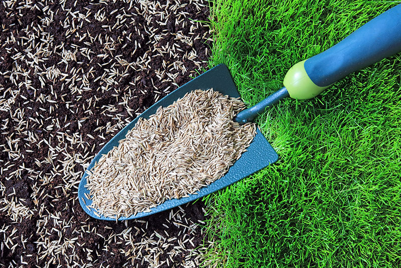 Commercial Landscaping Andover - grass seeding