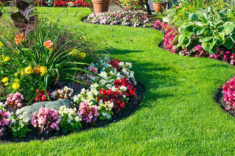 Gardening and Landscaping - Residential Services Andover